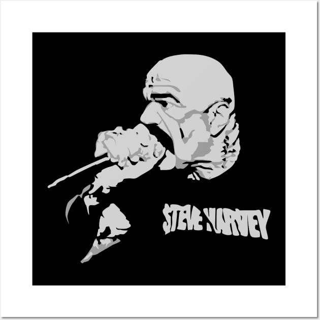 Steve Harvey Punk Rock 1 Wall Art by ilrokery